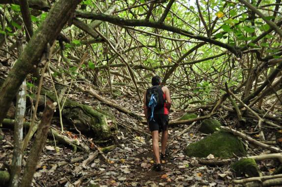 Caminhando na mata em direção a uma cachoeira próxima à Kalalau, na Na'Pali Coast, costa norte de Kauai, no Havaí